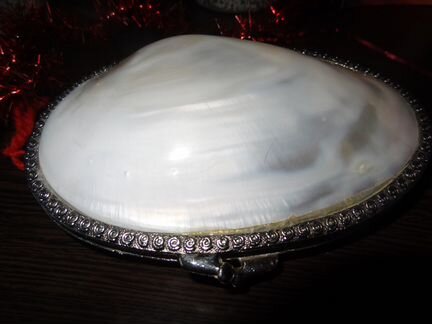 Шкатулка Ракушка перламутр,мини с камнем