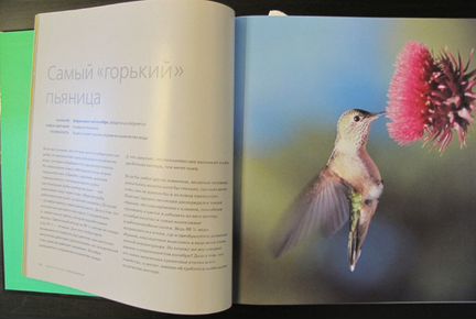 Книга Удивительная природа Марк Карвардин