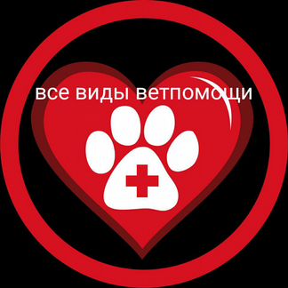 Усыпление Животных На Дому 24/7 Кремация