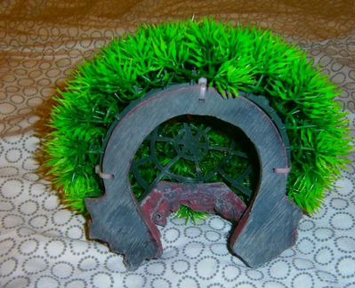 Растения для аквариума