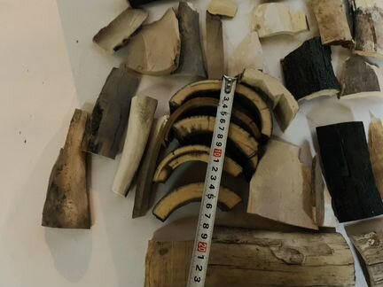 Бивень мамонта