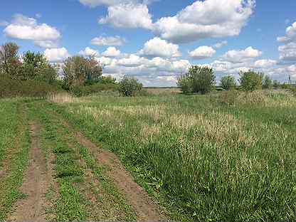 Погода луговое богучарский район воронежская область