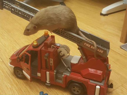 Пожарная машина Bruder идеал