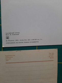 Набор открыток Собаки