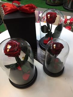 Роза в колбе